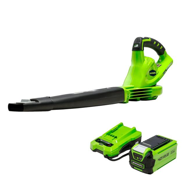 Cordless Leaf Blower, Battery and Charger Included