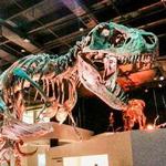 Houston Museum of Natural Science