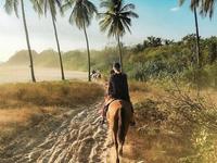 Tico Tours Guanacaste