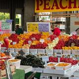 State Farmers Market