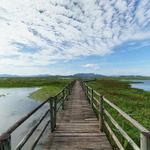 See all the wildlife at Parque Nacional Palo Verde