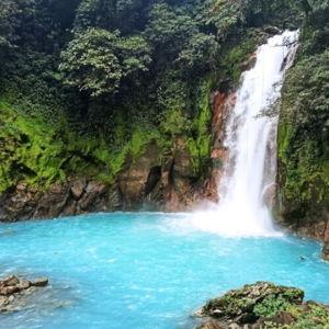Costa Rica Rain Forest Tour