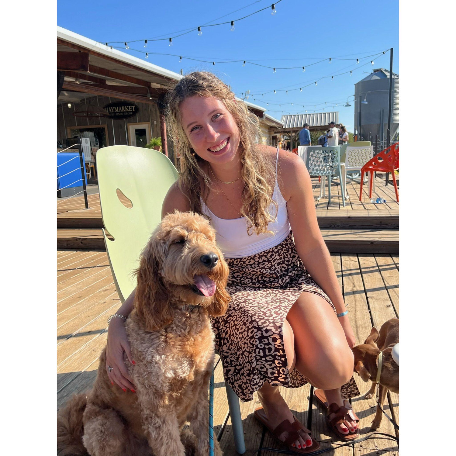 Dog Mom