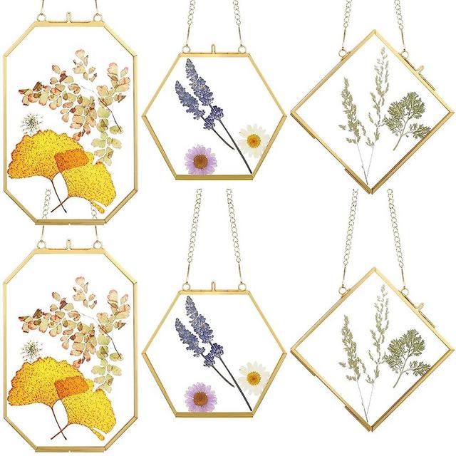 6 Packs Glass Frames for Pressed Flowers Double Glass Golden Hanging Picture Frames with Chain 3 Sizes DIY Frame Floating Photo Hanging Frame Artwork Display Frame for Wall Gallery Art Decor