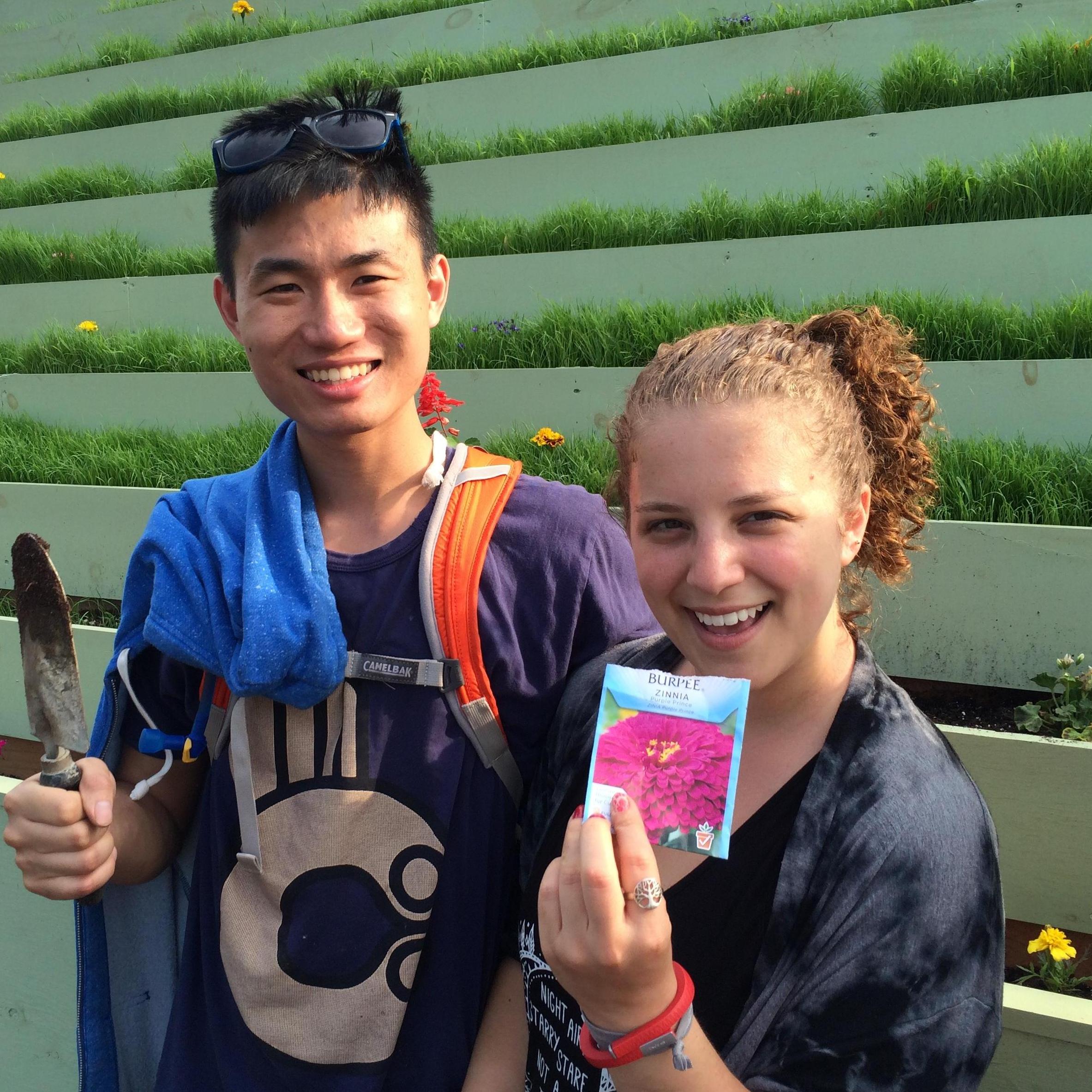 Planting flowers in Astoria