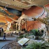 New Mexico Museum of Natural History and Science
