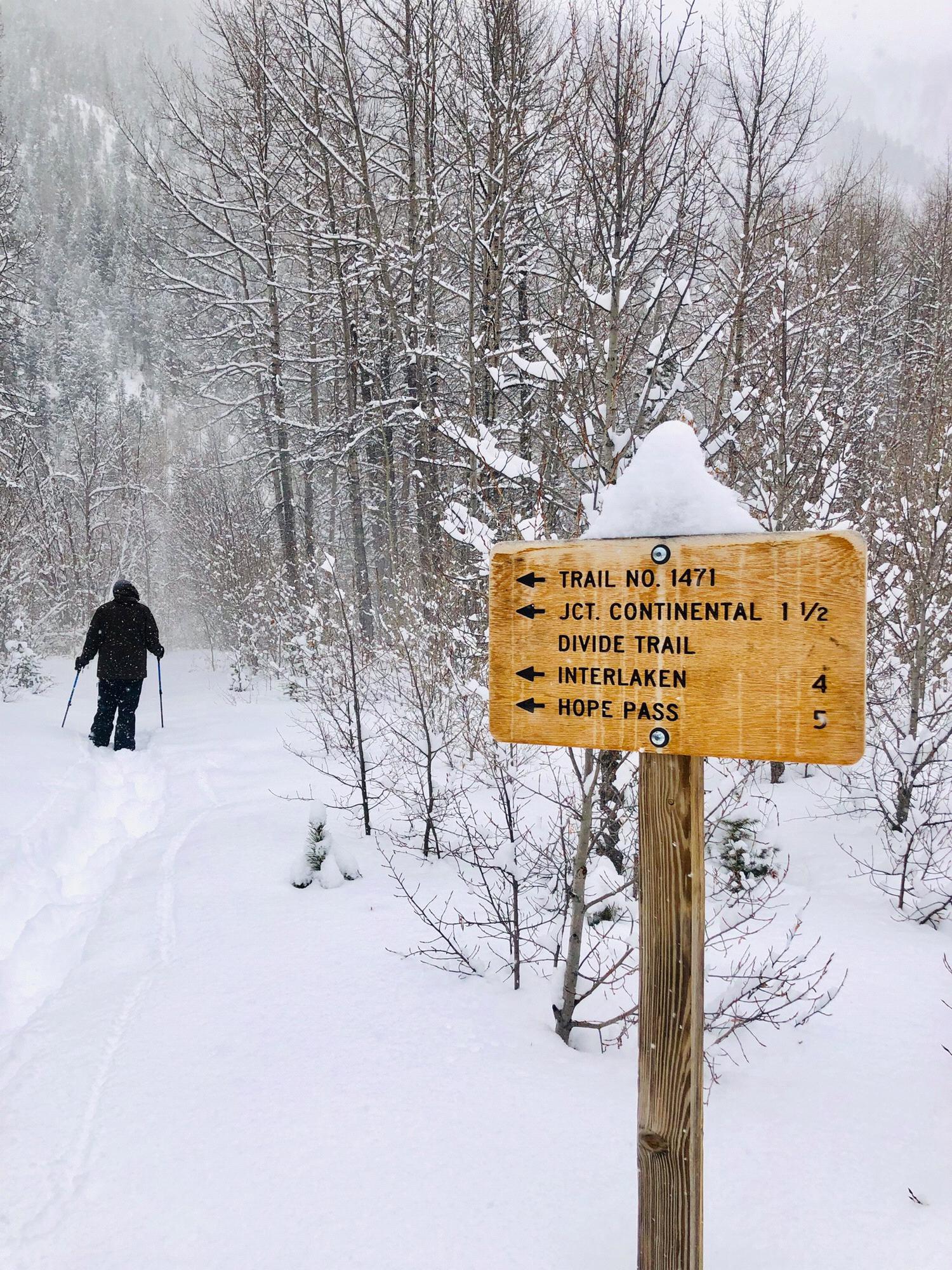 Hiking through 2 feet of snow is a lot harder than it looks, but we are always up for a challenge.