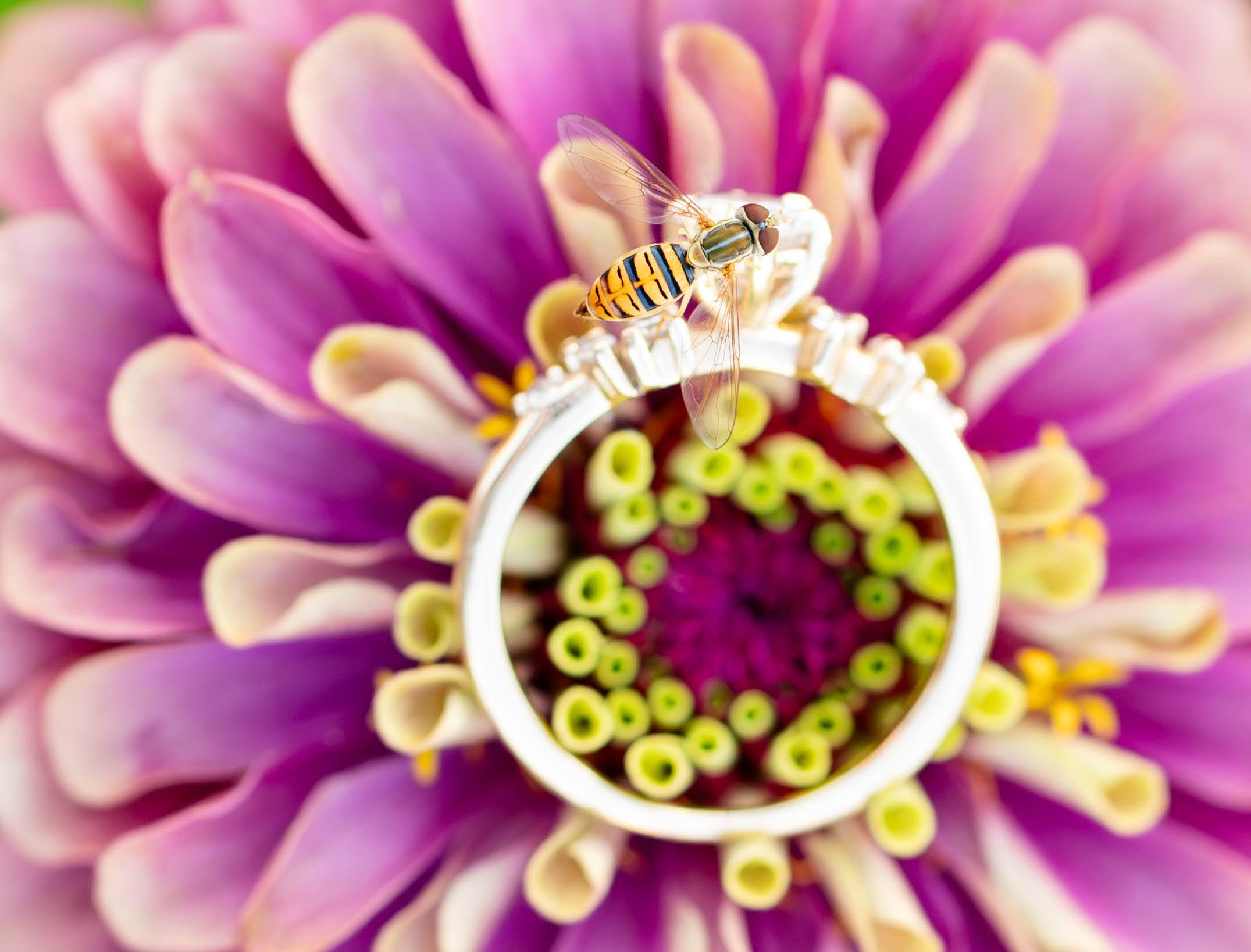 The Wedding Website of Kaitlyn Stone and Jordan Witt