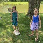 Fort Rickey Discovery Zoo