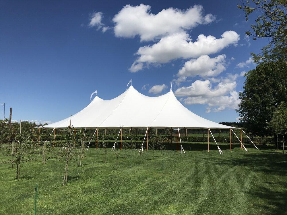 The Wedding Website of Julie Hyman and Ross Perry
