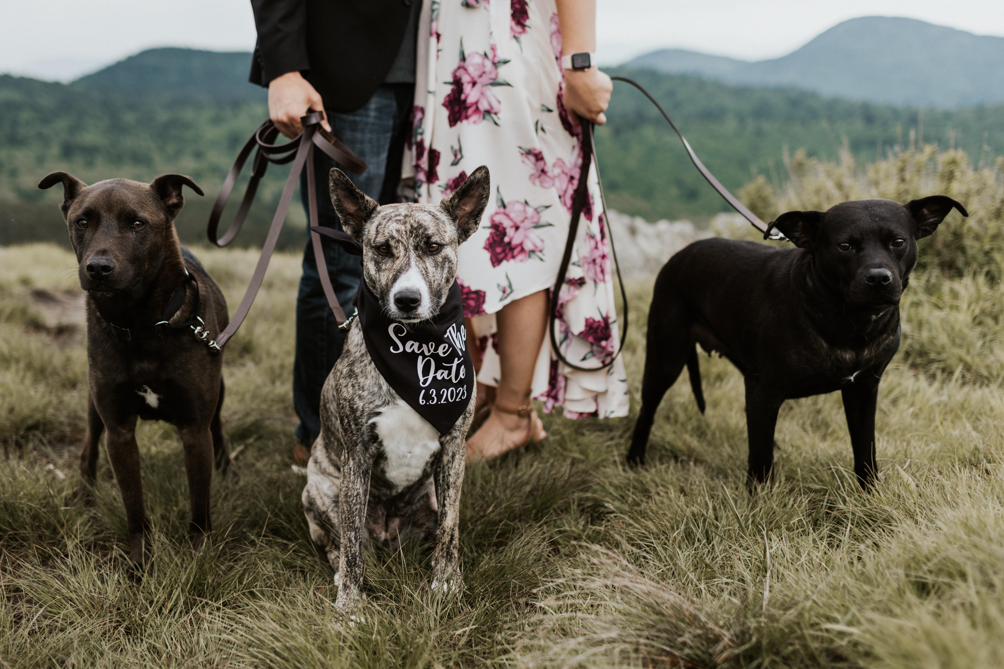 The Wedding Website of Giorgina Tucker and Patrick Shea