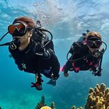 ScubaCaribe, Diving & Water Sports