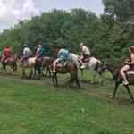 Horseback Riding Experience