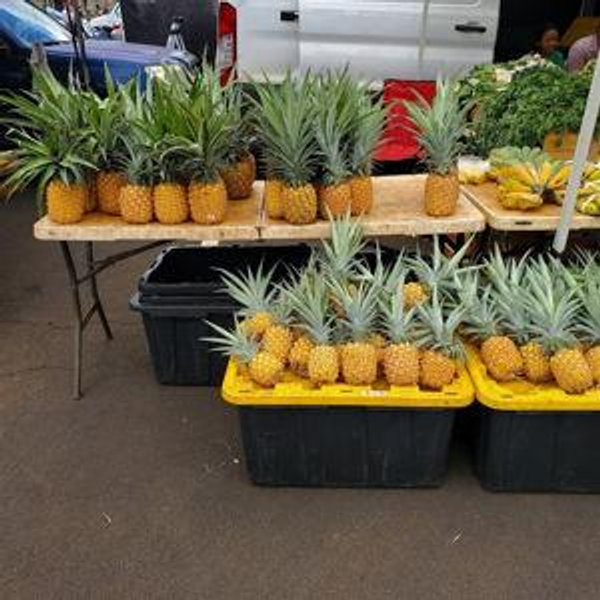 Kauai Farmer’s Market Shopping Spree