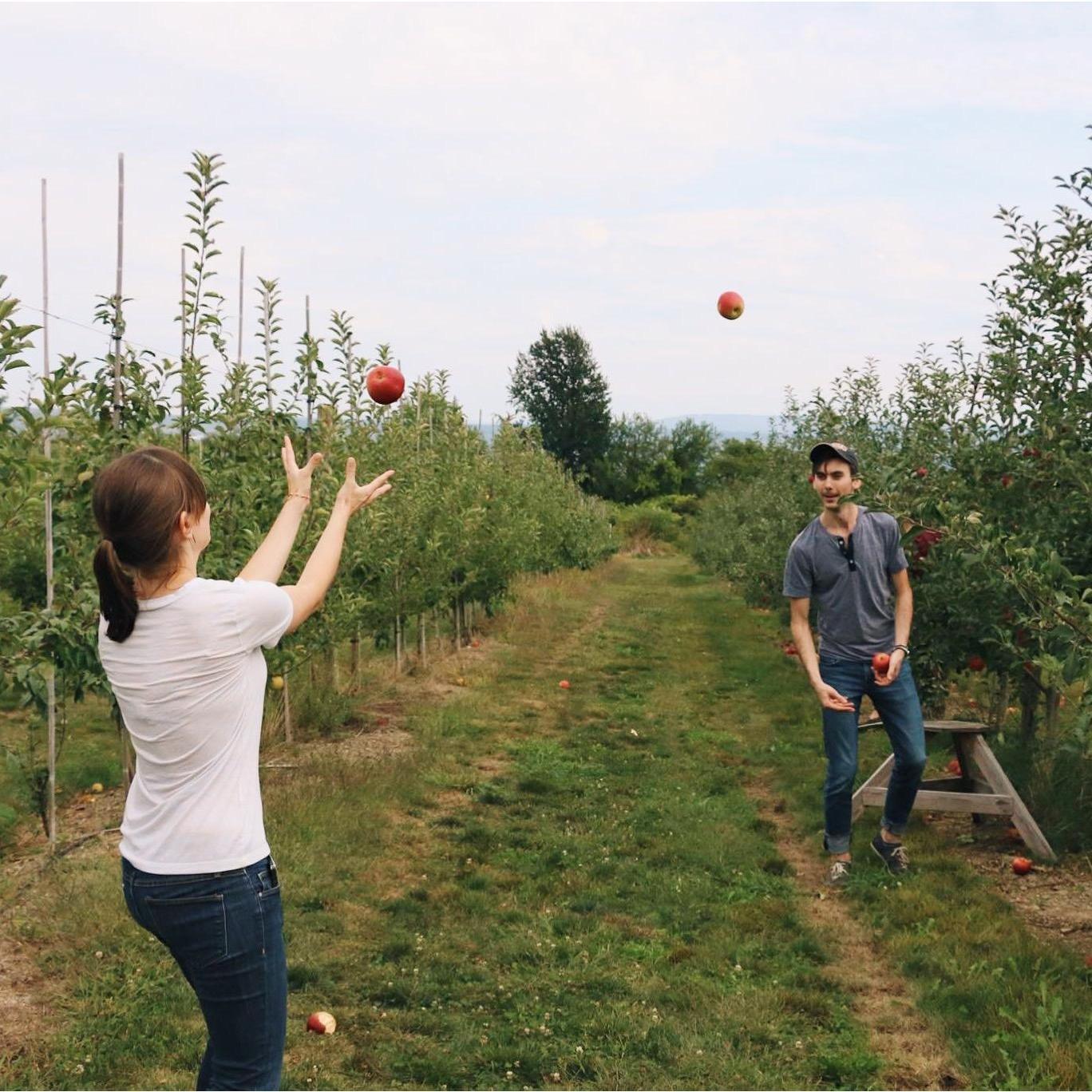 Finger Lakes, NY – Picking apples to make hard cider (2015)
