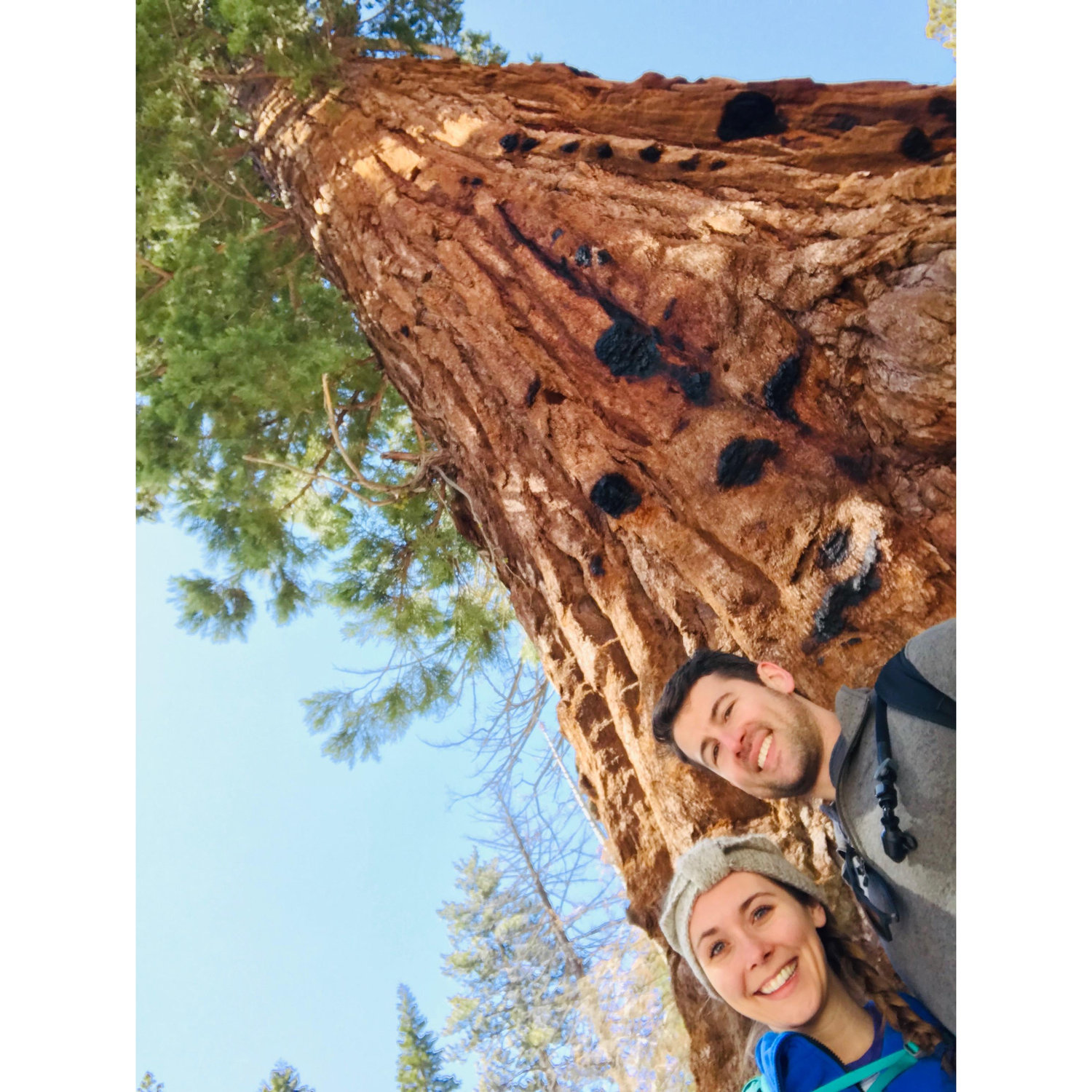 Yosemite National Park, CA
