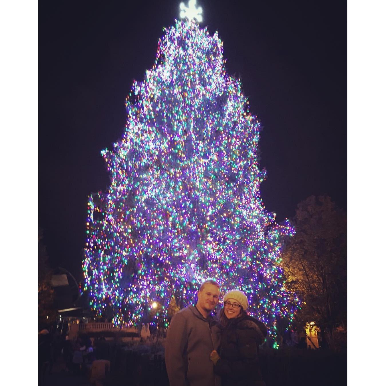 Christmas in Chicago 2016