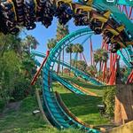 Busch Gardens Tampa Bay