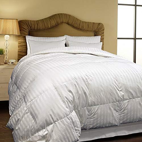 Hotel Grand 500 Thread Count Oversized All-Season White Siberian Down Comforter Queen, Full - Queen, Full