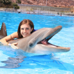 Swim with the Dolphins