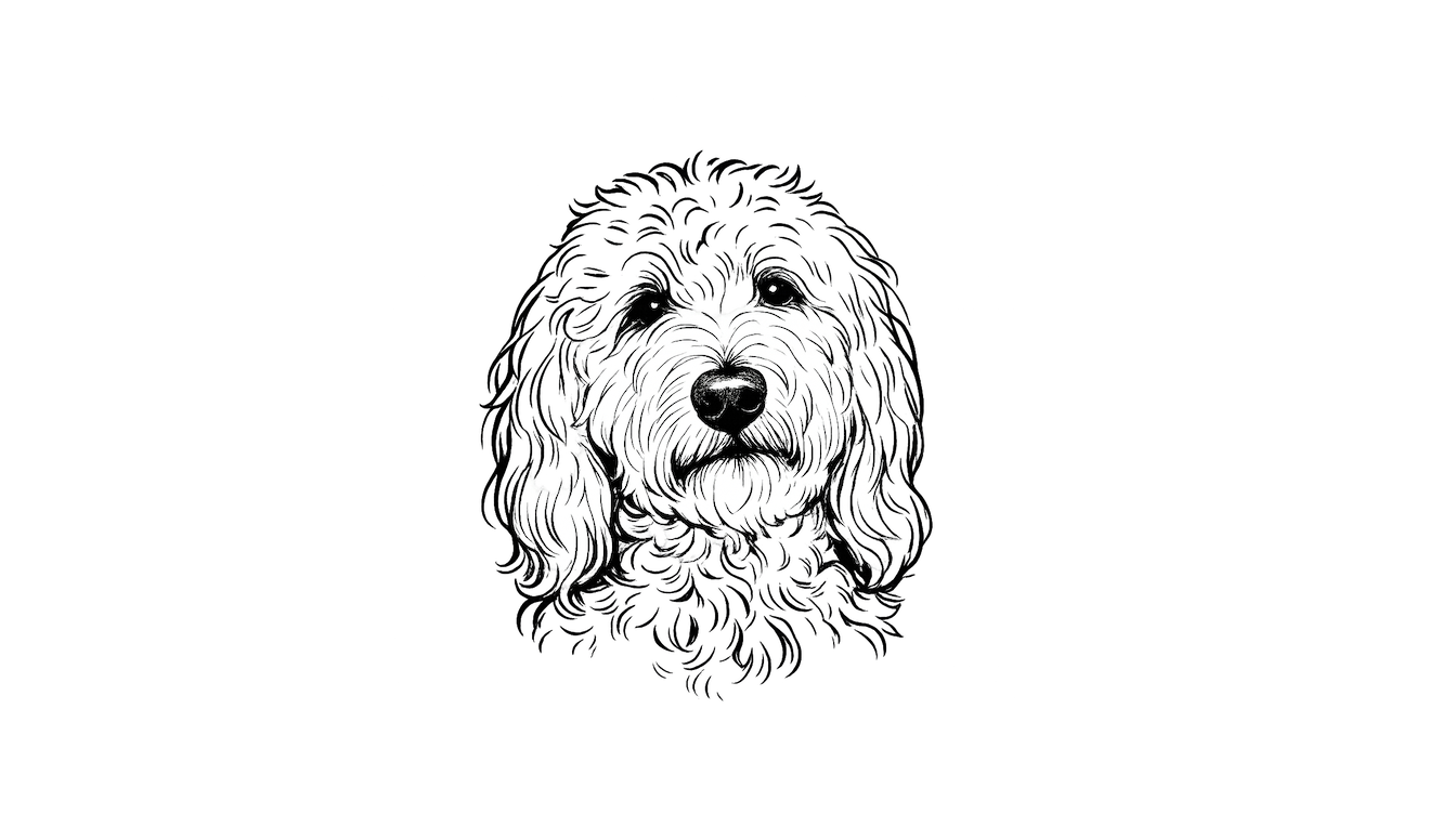 Footer image