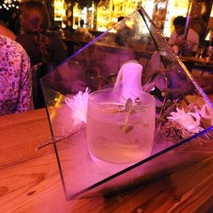 Cocktail and food pairing experience at Cause Effect Cocktail Kitchen in Cape Town