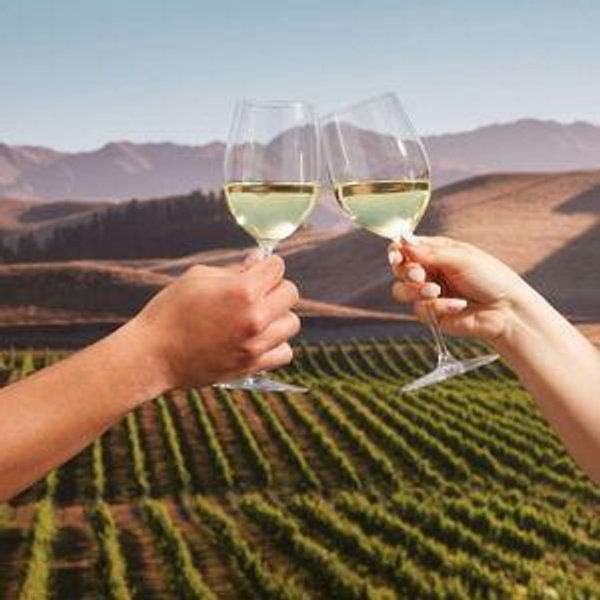 Honeymoon Wine Tasting
