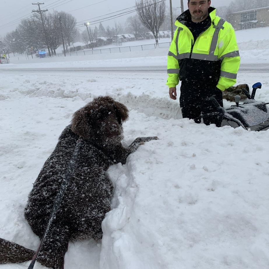 Parker and Gus. The great blizzard of January 17, 2022