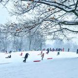 Other Weekend Events in Buffalo