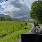 Killarney National Park