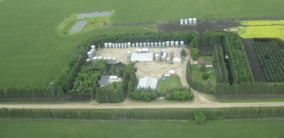 The Wedding Website of Emily South and Josh Hogarth