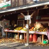 Karabin Farms