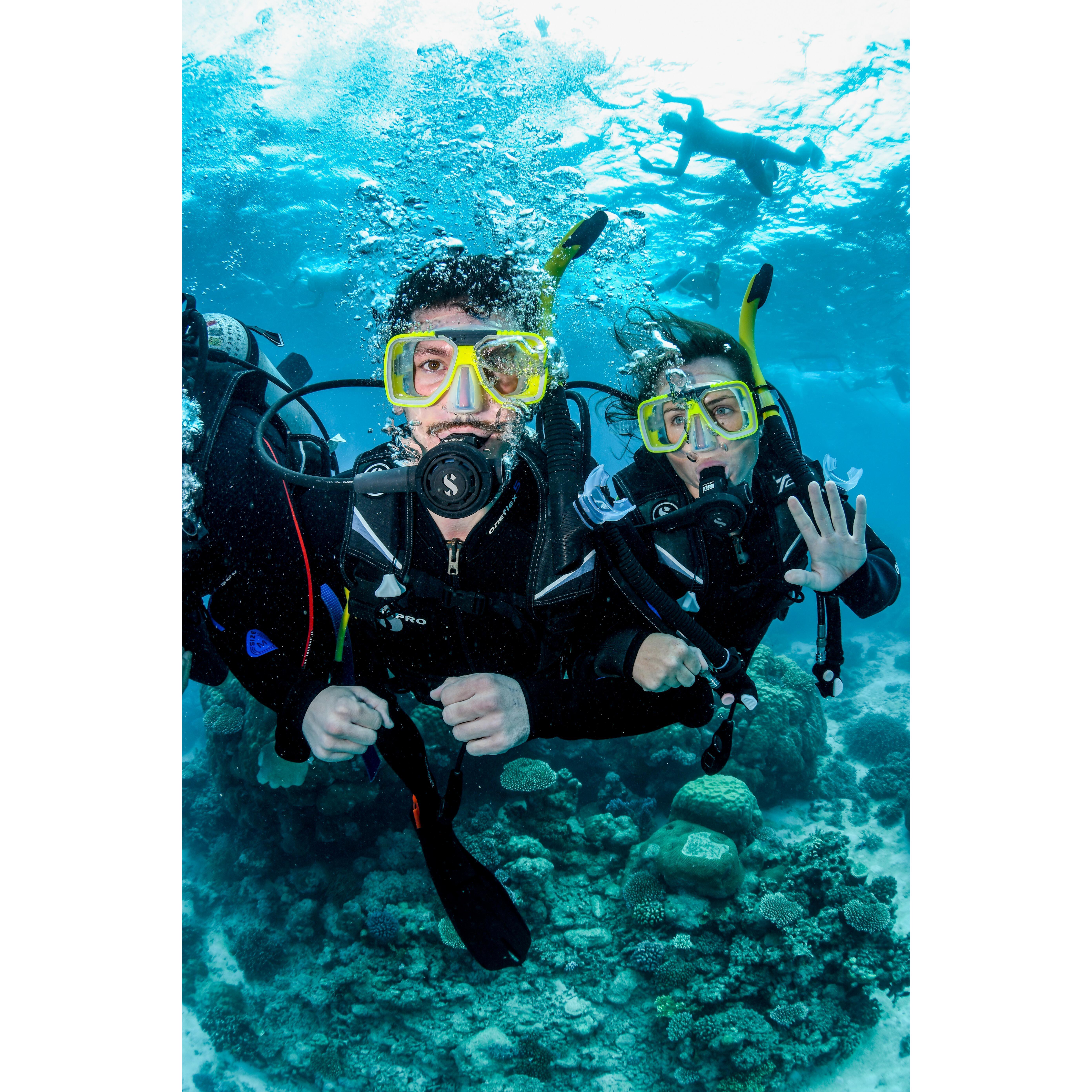 Great Barrier Reef 2019
