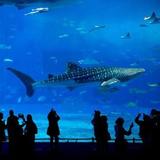 Baltimore National Aquarium