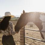 Horseback Riding Tours