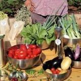 Lefkada Micro Farm