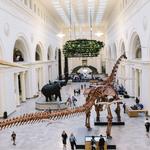 Field Museum
