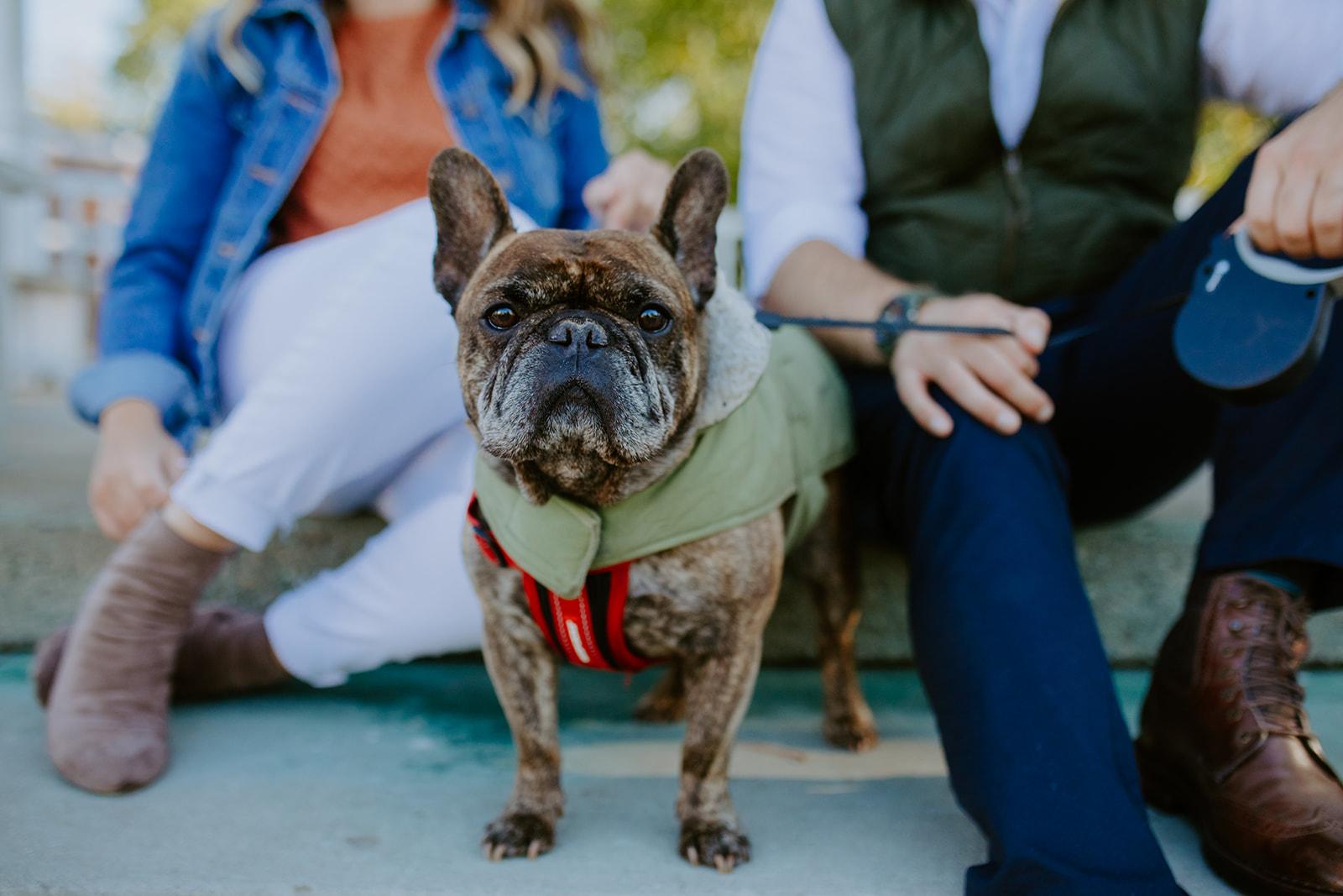 The Wedding Website of Ashley Farruggia and Connor Schwester