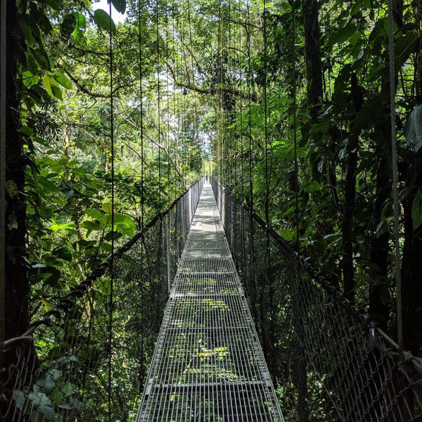 Mistico Hanging Bridges
