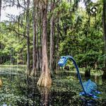 Tallahassee Museum