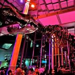 California Academy of Sciences