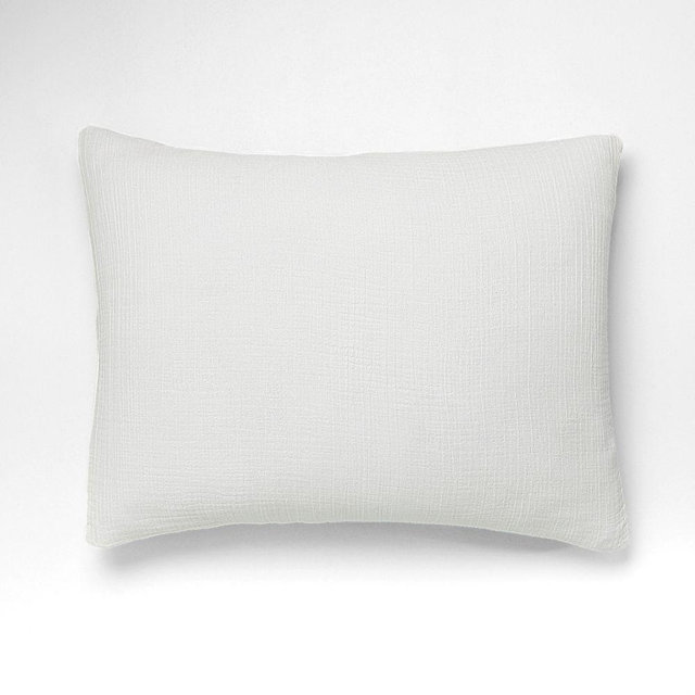 Dreamy Gauze Cotton King Sham, White