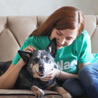 Spoil Your Pooch