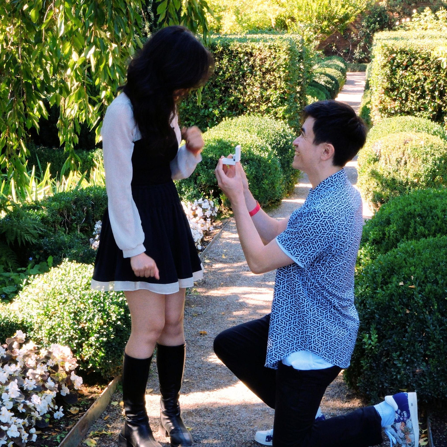 The proposal!