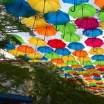 Coral Gables Miracle Mile (Restaurants, Shopping)