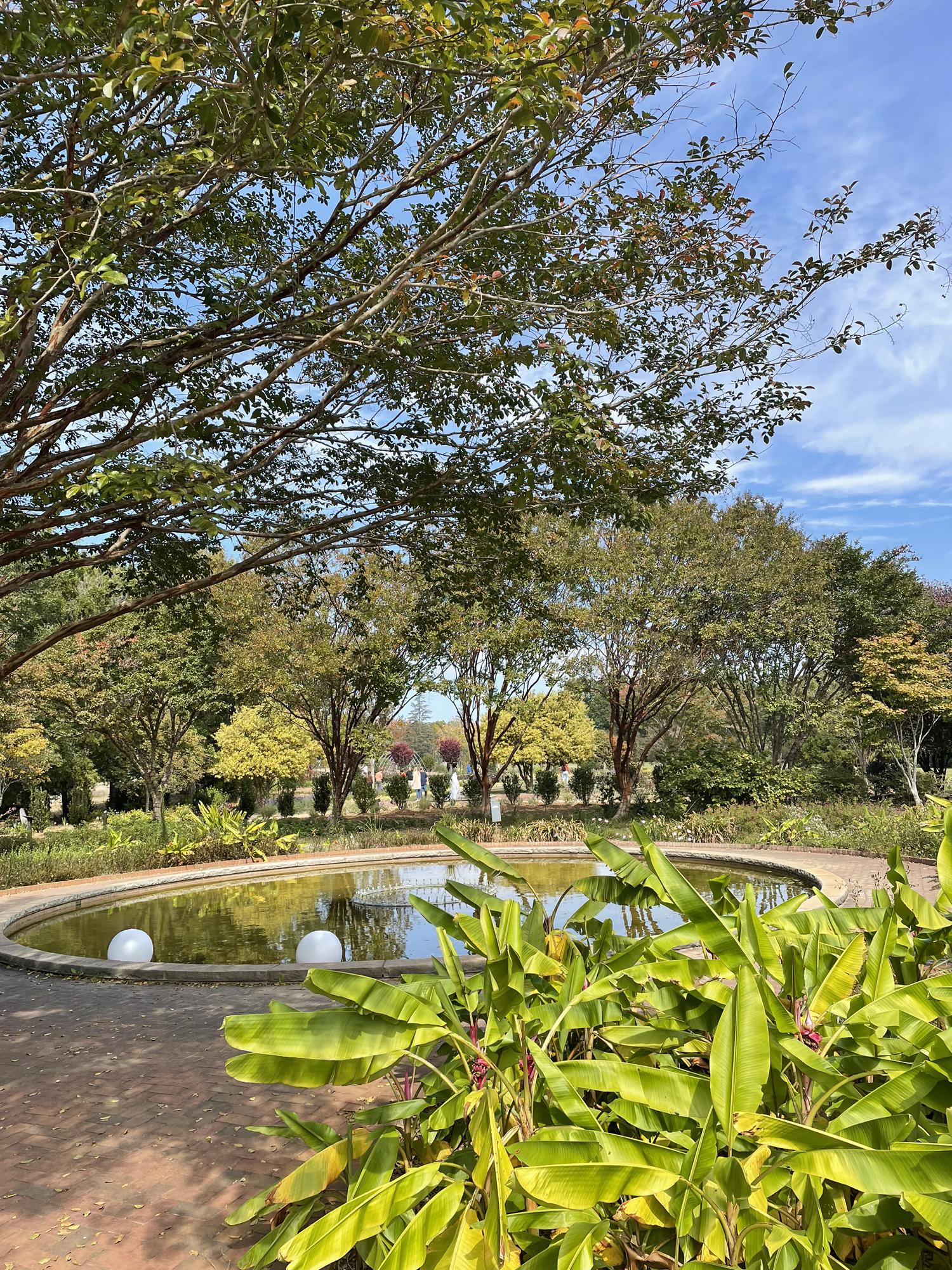 Daniel Stowe Botanical Garden
