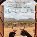 Valle De Guadalupe- Wine Tasting