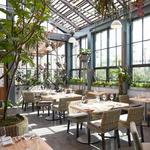 Terrain Cafe