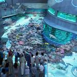 National Aquarium