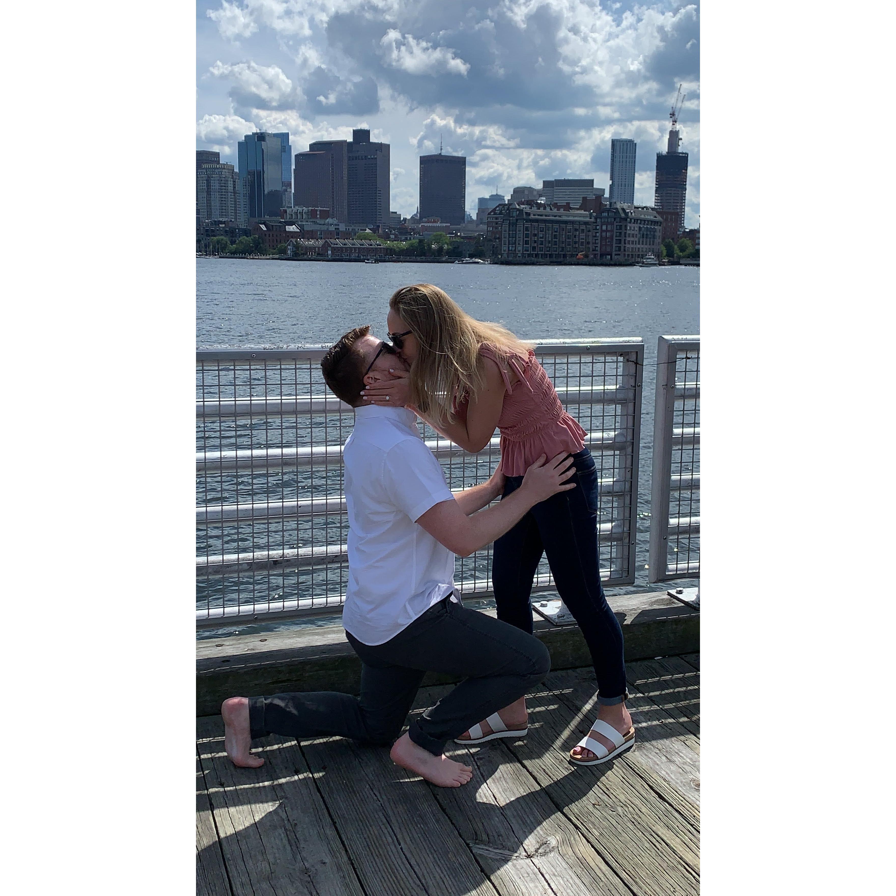 Matt's secret oyster shucking proposal